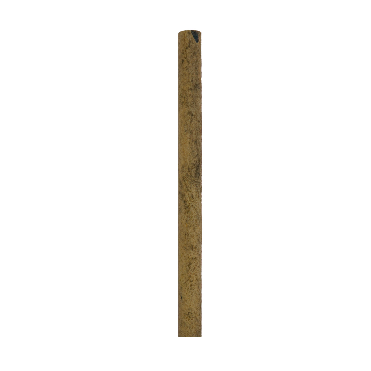 EE1911 - CUILLI